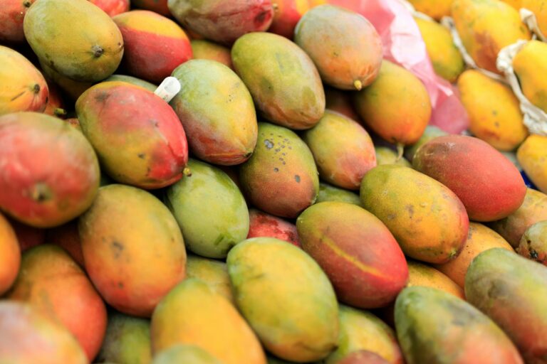 Essen mit M: 50+ Lebensmittel, Gerichte und Spezialitäten im Food-Alphabet Essen mit M – frische Mango und Tropenfrüchte